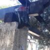 ⁦מלכודת זבובים⁩ – תמונה ⁦3⁩