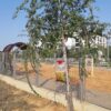 ⁦מלכודת זבובים⁩ – תמונה ⁦5⁩