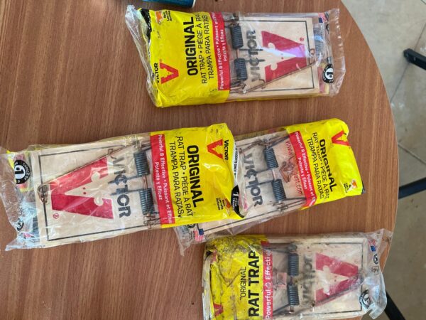 ⁦מלכודת קפיץ ויקטור עץ 4 יח'⁩ – תמונה ⁦2⁩