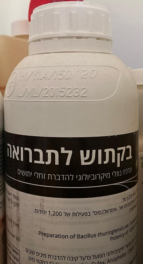 בקתוש